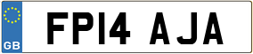 Trailer License Plate
